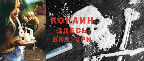 стаф Арсеньев