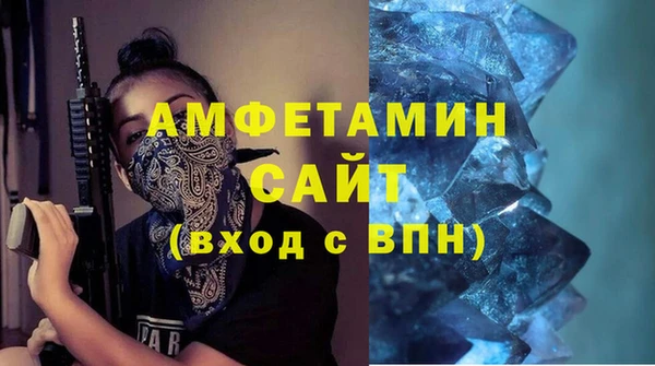 индика Михайловск