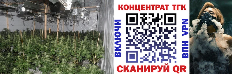 ТГК Wax  Саянск 