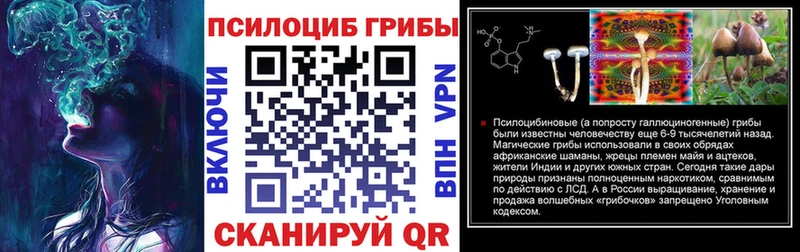 где купить   Саянск  Псилоцибиновые грибы мицелий 
